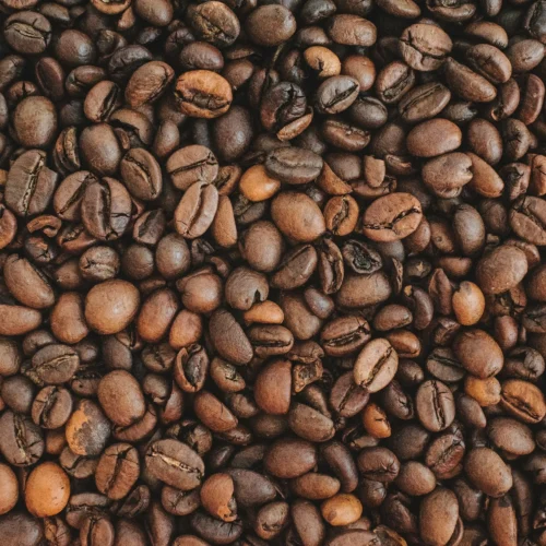 Arabica Coffee