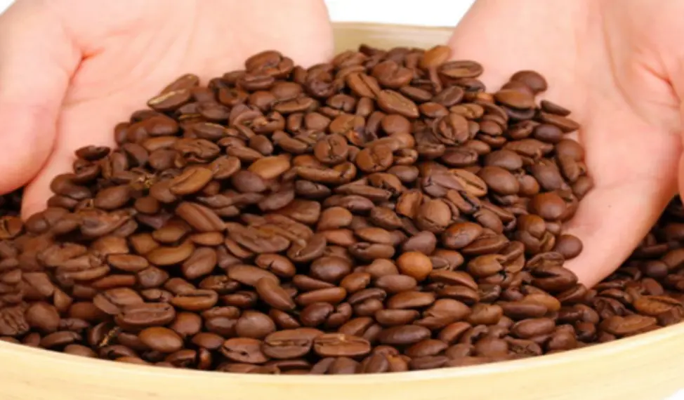 Liberica Coffee