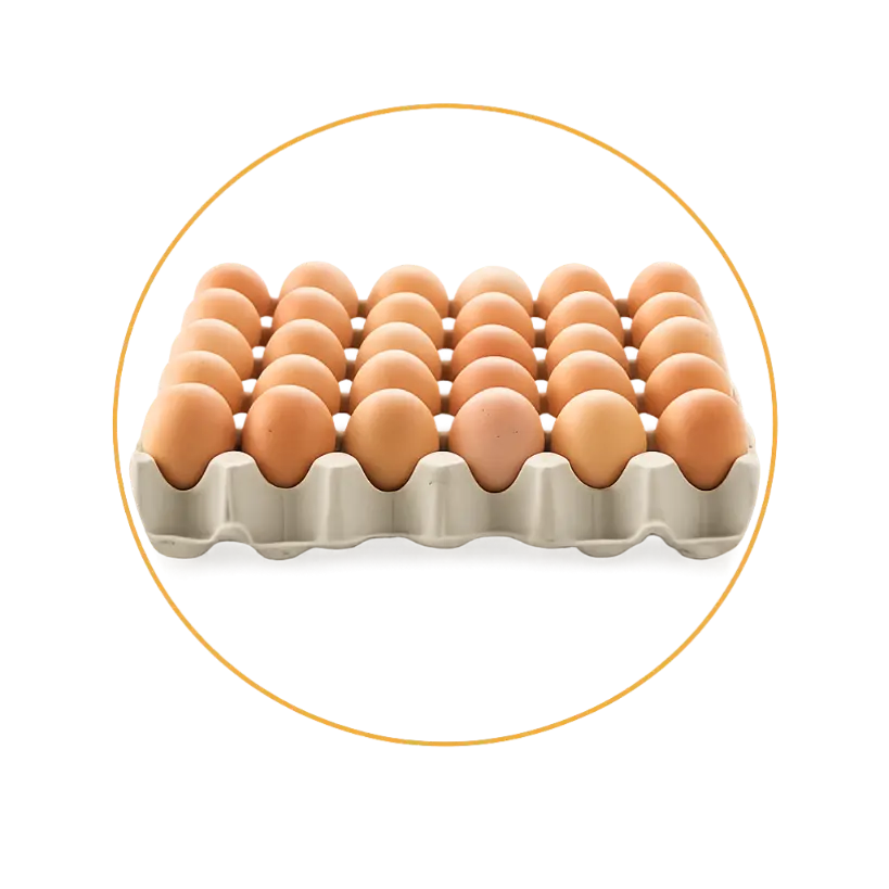 Eggs